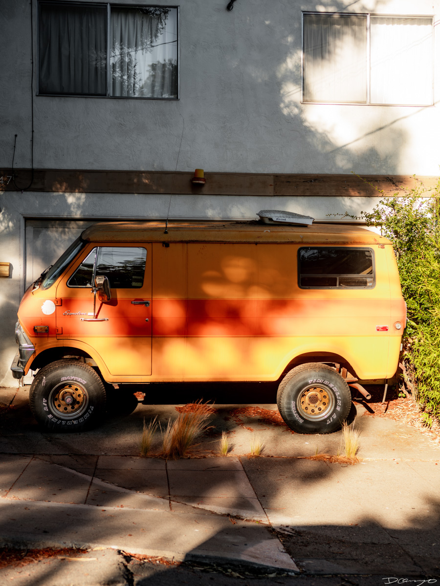 Pretty things that I wanted to take pictures of around Berkeley in 2023.